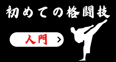 初めての格闘技